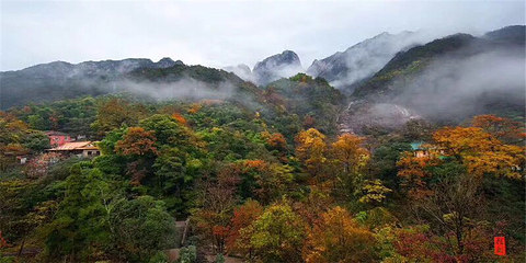 黄山-温泉景区第 41 张图片
