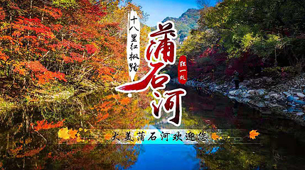 蒲石河森林公园第 20 张图片