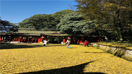 蒙顶山第 115 张图片