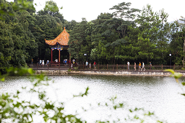 三百山景区第 75 张图片