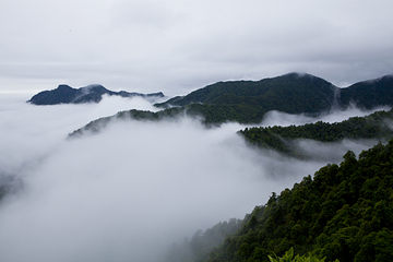 三百山景区第 93 张图片