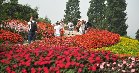 花舞人间第 82 张图片