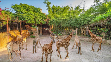 长鹿旅游休博园第 5 张图片