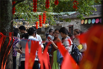 玉石林风景区第 16 张图片