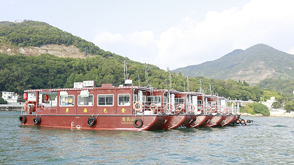 金色海岸第 9 张图片