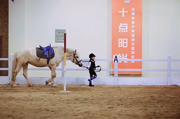 十点阳光马术俱乐部第 6 张图片