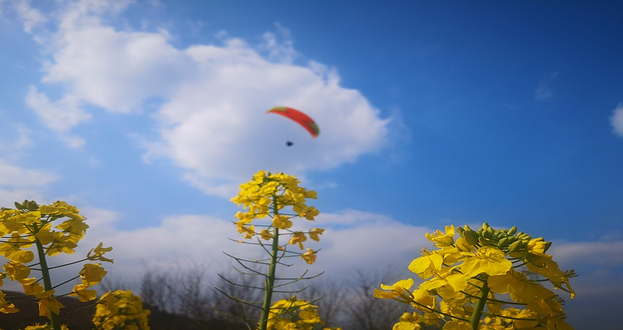 同温层滑翔伞培训基地