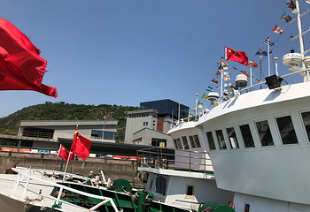 石浦捕鱼第 6 张图片