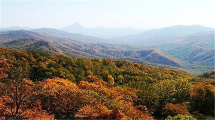 松峰山景区第 23 张图片