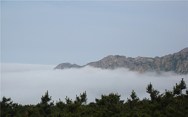 槎山风景区第 11 张图片
