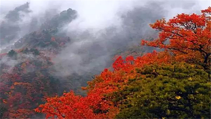 大鸿寨风景区第 19 张图片