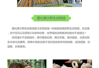 爱化摩沙野生动物园第 7 张图片