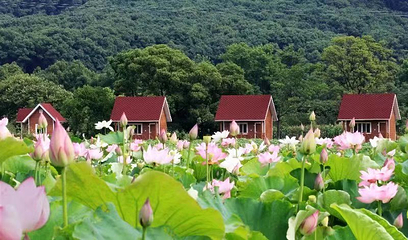 庐山博阳河生态休闲风景区第 8 张图片