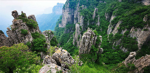王莽岭风景区第 29 张图片
