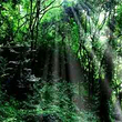 藤龙山风景区
