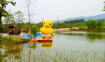 仙山花谷第 7 张图片