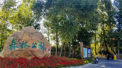 盘锦森林公园第 82 张图片