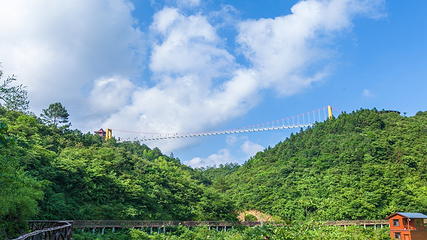 柃蜜小镇·白崖山景区第 22 张图片