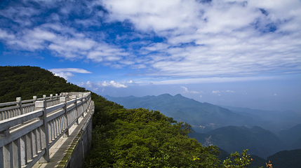 金佛山北坡景区第 9 张图片