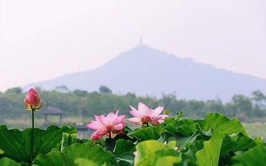 仙山湖风景区第 25 张图片