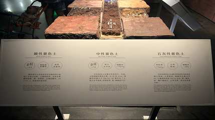 永川博物馆第 20 张图片