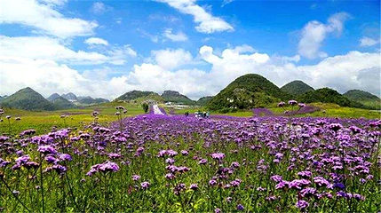 野玉海山地旅游度假区第 9 张图片