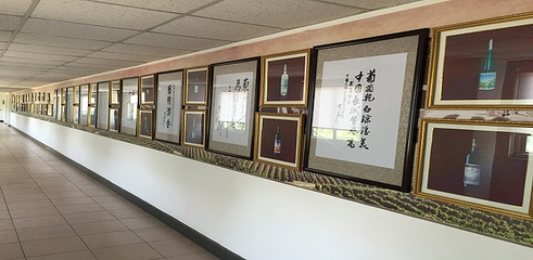 中国长城葡萄酒工业旅游区第 10 张图片