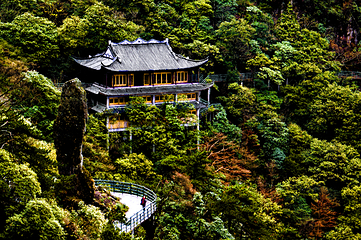 羊狮慕风景区第 25 张图片