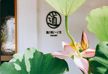 周庄万三酒庄第 34 张图片