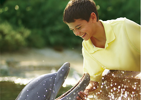 圣安东尼奥海洋世界