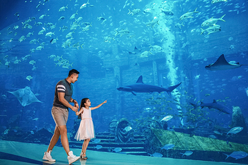 三亚亚特兰蒂斯失落的空间水族馆第 40 张图片