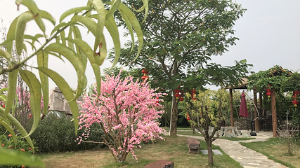 东江印象特色农业园第 32 张图片