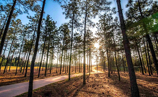 漳浦Hooray欢乐岛房车酒店