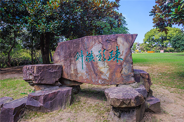 梅园第 129 张图片