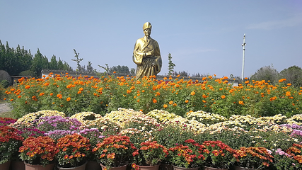 中国菊园第 5 张图片