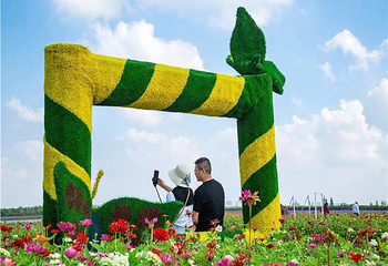 固城湖水慢城第 15 张图片