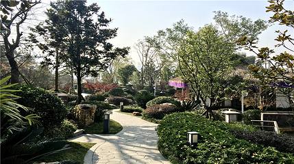 乐湾温泉第 28 张图片