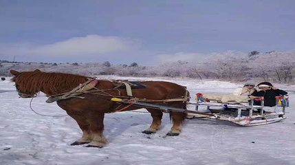 长白山仙峰雪岭景区第 62 张图片