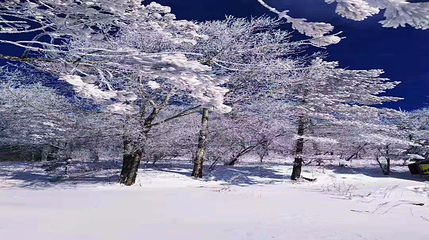 长白山仙峰雪岭景区第 53 张图片