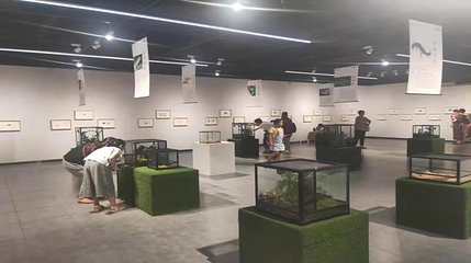渭南植物园第 10 张图片