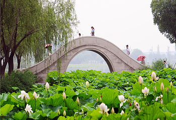 苏州阳澄湖半岛旅游度假区第 48 张图片