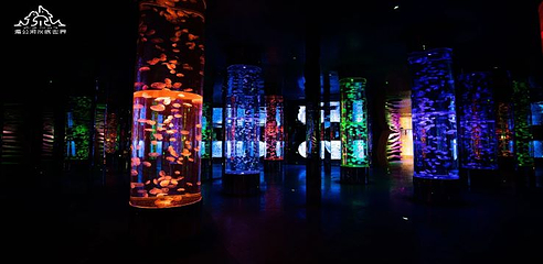 湄公河水底世界第 10 张图片