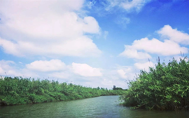 泗洪洪泽湖湿地景区第 79 张图片
