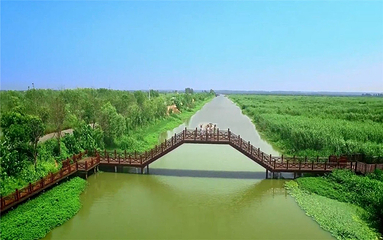 泗洪洪泽湖湿地景区第 37 张图片