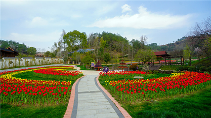 英山四季花海景区第 21 张图片