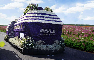 蔚然花海第 282 张图片