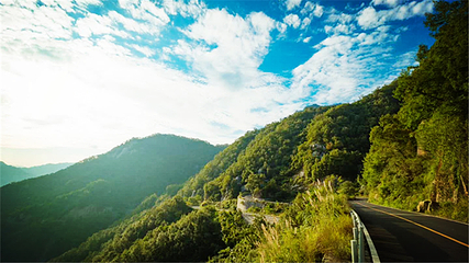 内乡宝天曼生态文化旅游区第 14 张图片