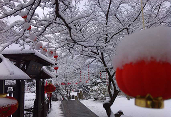 神龙川风景区第 27 张图片