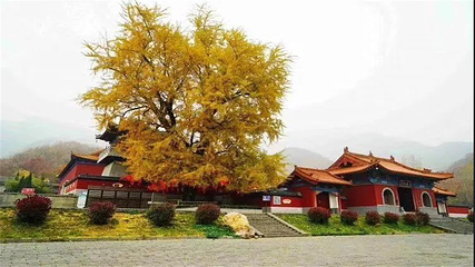 大鸿寨风景区第 14 张图片