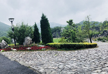 千岛湖石林景区第 47 张图片